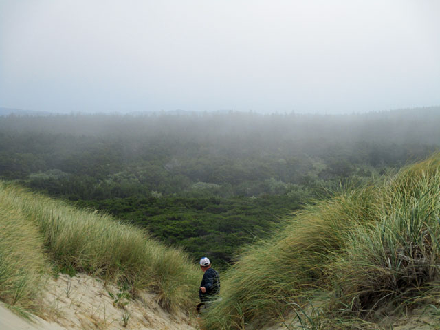 06-26-fog-in-dunes.jpg
