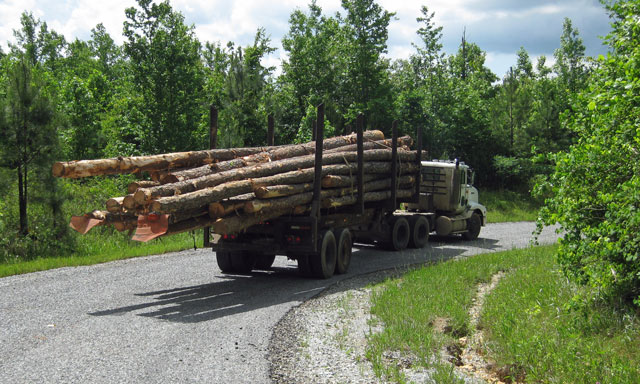 05-20-timber-truck.jpg