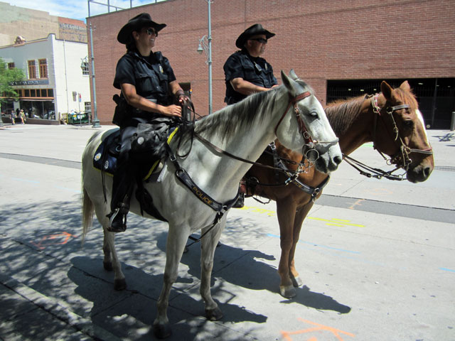 06-06-police-horses.jpg