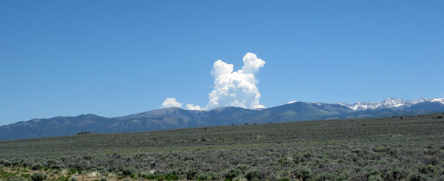 06-04-poodle-cloud.jpg
